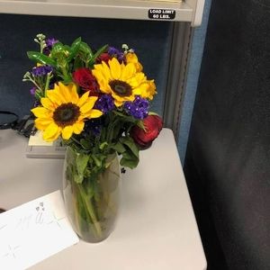 Meet your Posher, Peg